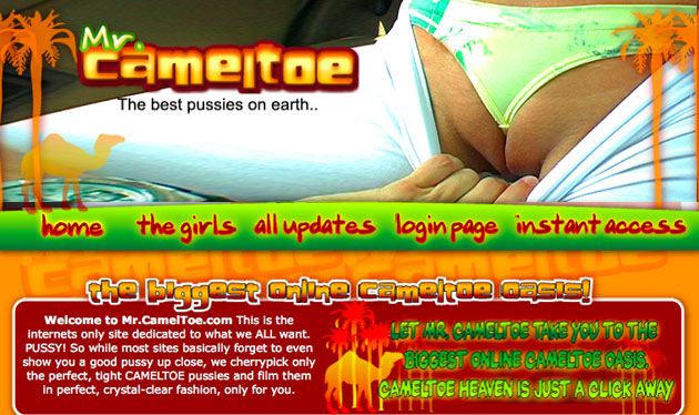 mrcameltoe review