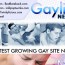 GayLifeNetwork review