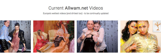 allwam is the top bizarre porn website to watch class-A hd porn videos